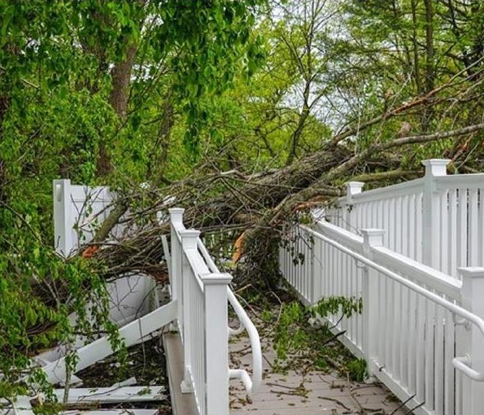 a large tree downed on a white walking ramp